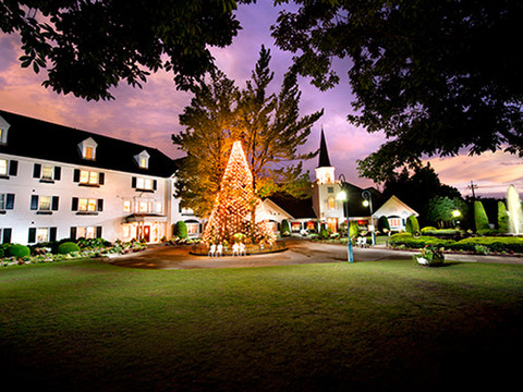 イルミネーション