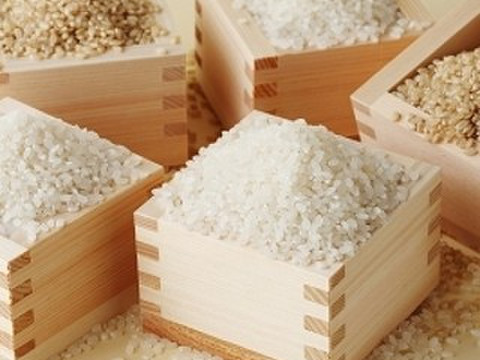 正しい晩ごはん 白 はく 池袋 巣鴨 駒込 割烹 小料理 Aumo アウモ